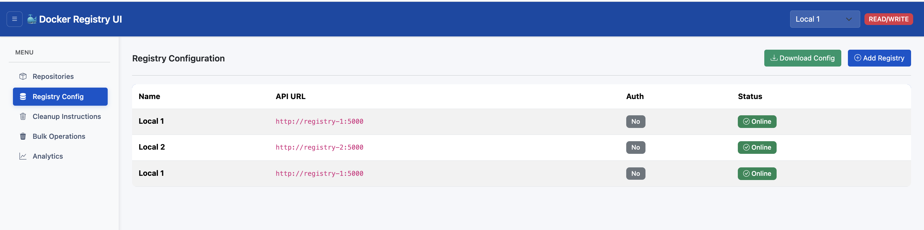 Multi-Registry Configuration